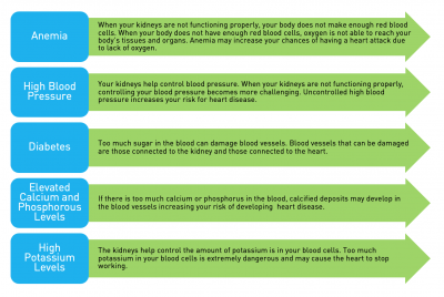 AAKP – American Association of Kidney Patients