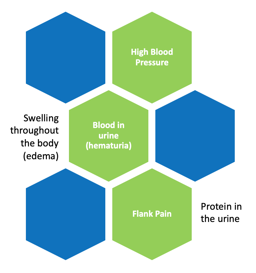 Alport Syndrome 