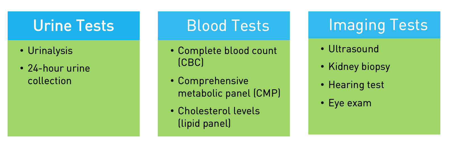 alport syndrome symptoms children