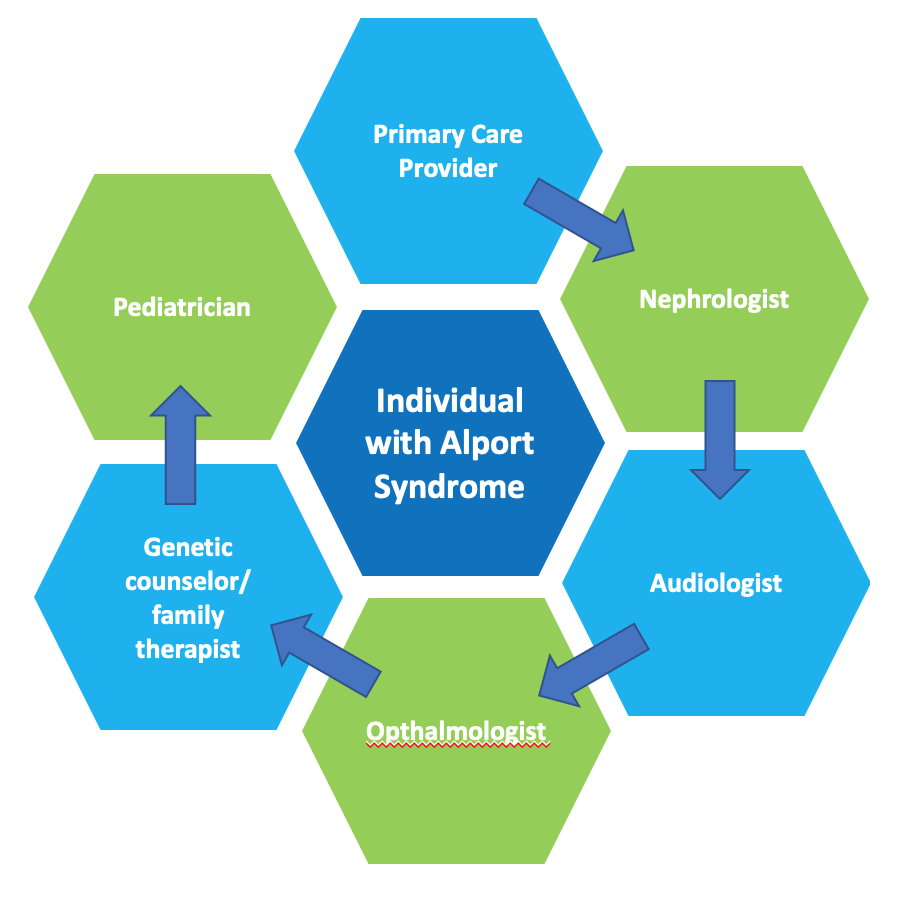 renal biopsy alport syndrome