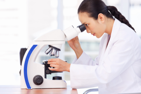 a procedure that involves inserting a thin needle through the skin directly into the kidney, often using ultrasound to guide the procedure, and taking small pieces of the kidney to examine under a microscope