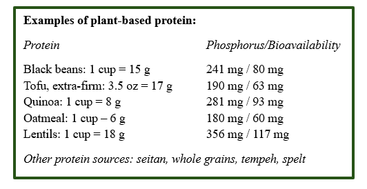 plant based protein